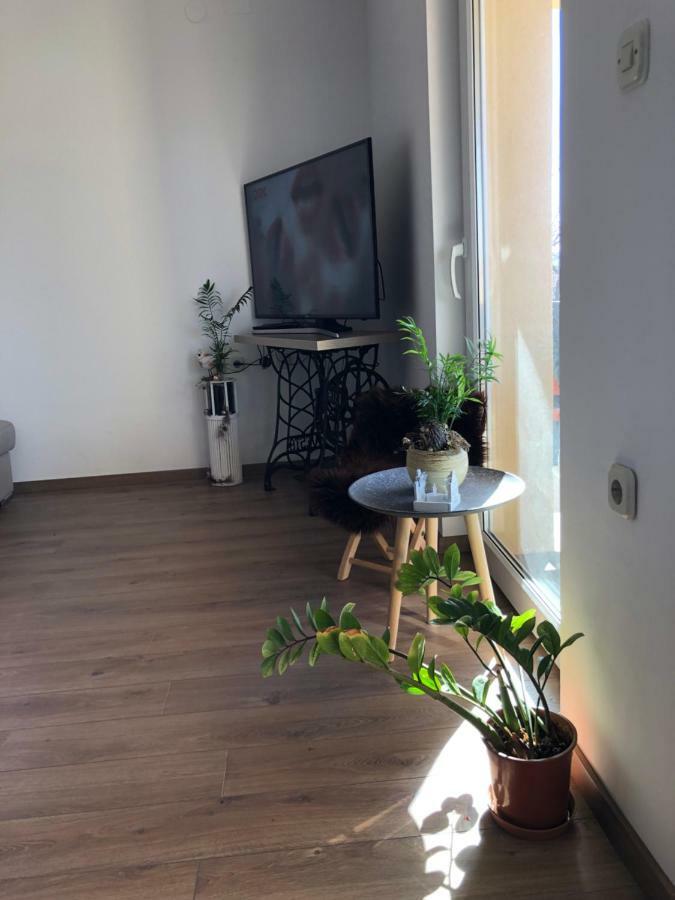 Apartment Viveniti Klenovica Eksteriør bilde